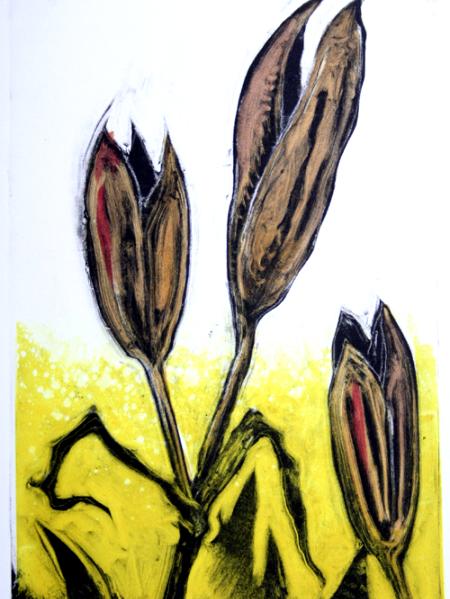 Seeds III