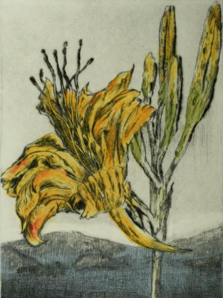 Drypoint with 2 acrylic plates