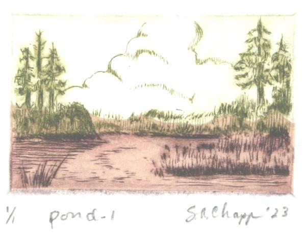 Pond-I