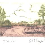 Pond-I