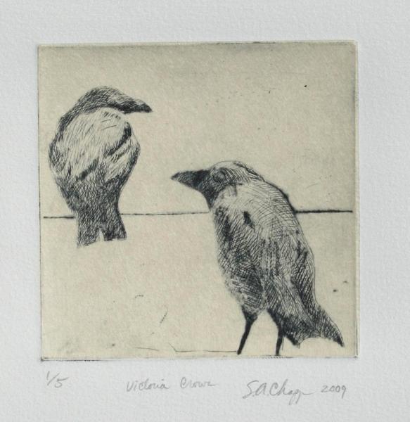 Victoria Crows