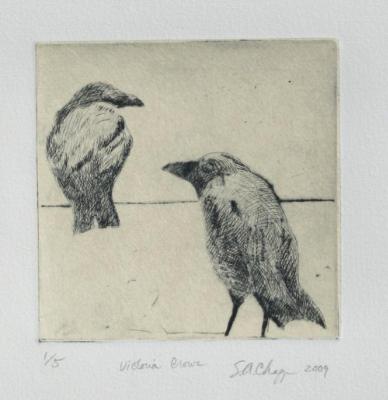 Victoria Crows