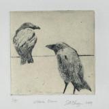 Victoria Crows