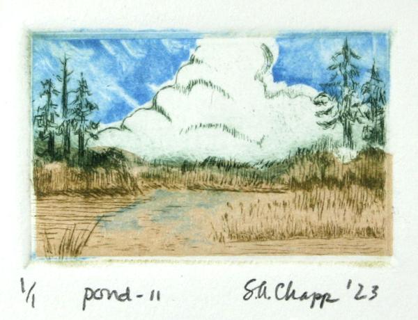Pond -II