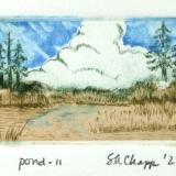 Pond -II